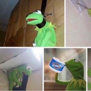 Meet your Posher, Jay